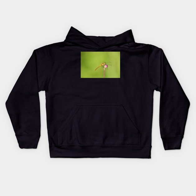 Grab Life By The Ball Kids Hoodie by EugeJ